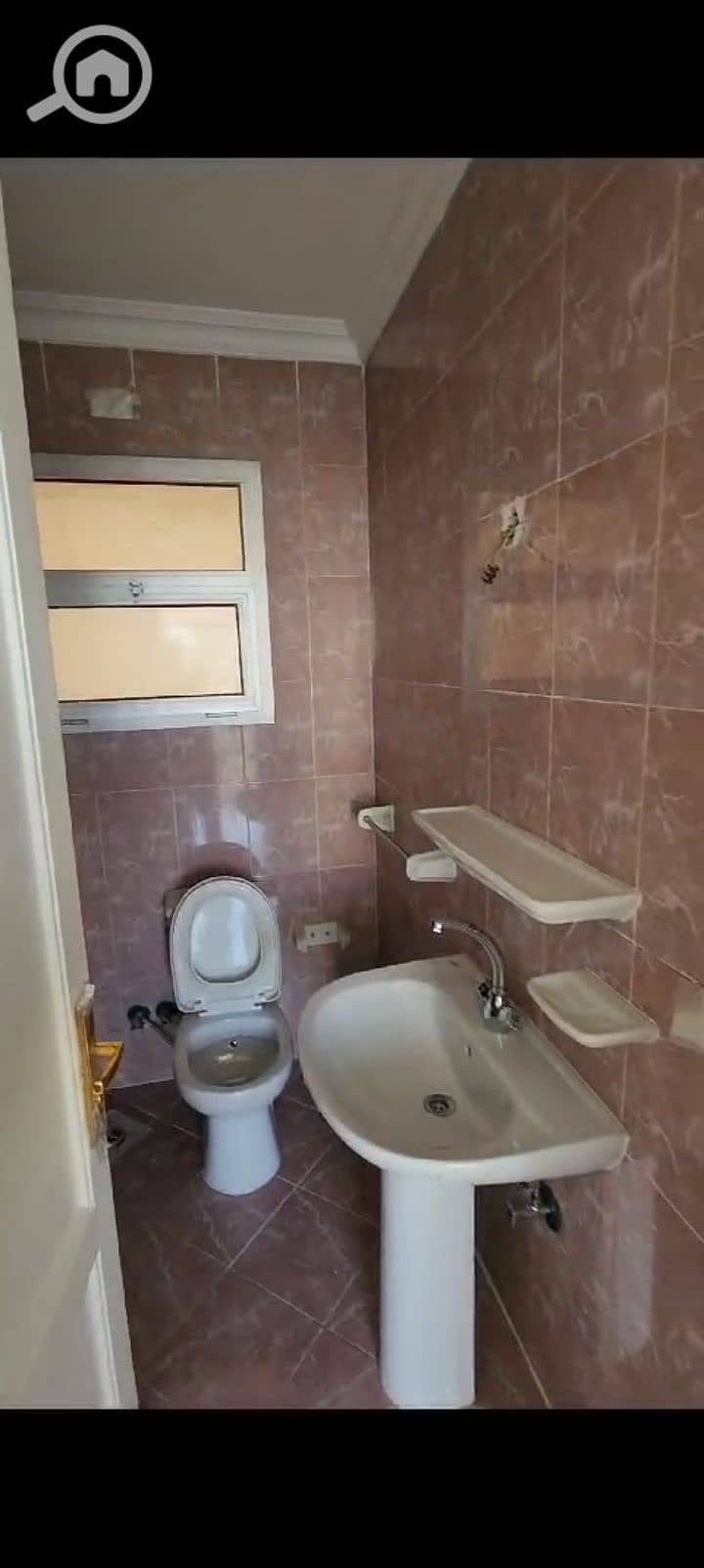 5 62856. jpg