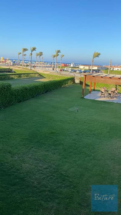3 Bedroom Villa for Sale in North Coast, Matruh - WhatsApp Image 2025-04-30 at 12.21. 55 PM. jpeg 3 Bedroom Villa for Sale in North Coast, Matruh - WhatsApp Image 2025-04-30 at 12.21. 55 PM. jpeg