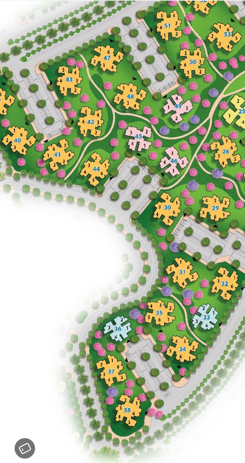 4 1001231773. jpg