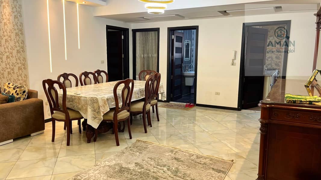 Luxury apartment for rent in Manial directly on the Nile – prime location and close to all services. Apartment for rent in the heart of Manial – suita - Fler