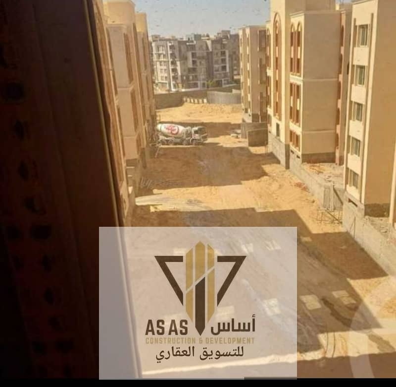 6 19689. jpg