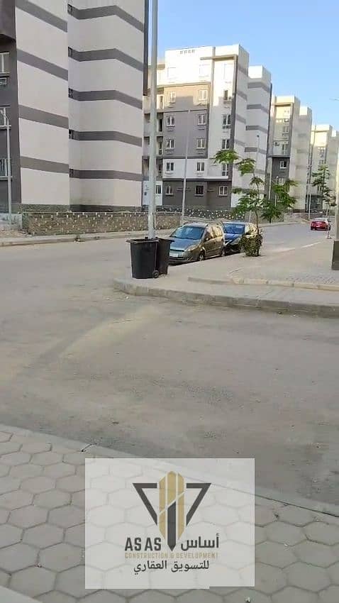 4 21668. jpg