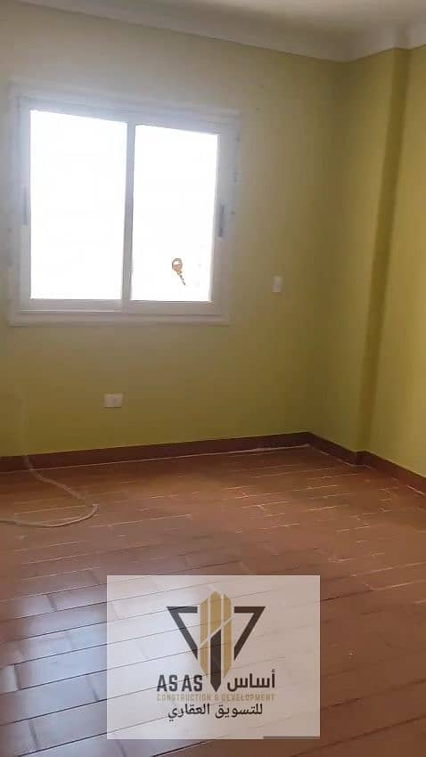 9 26245. jpg