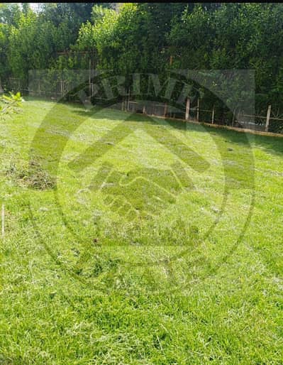 3 Bedroom Villa for Rent in Madinaty, Cairo - 1000470664. jpg