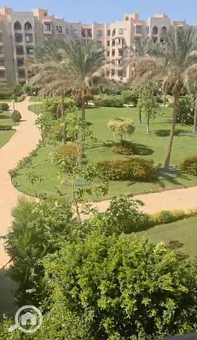 2 Bedroom Apartment for Rent in New Cairo, Cairo - WhatsApp Image 2026-07-22 at 12.01. 02 PM (1). jpeg