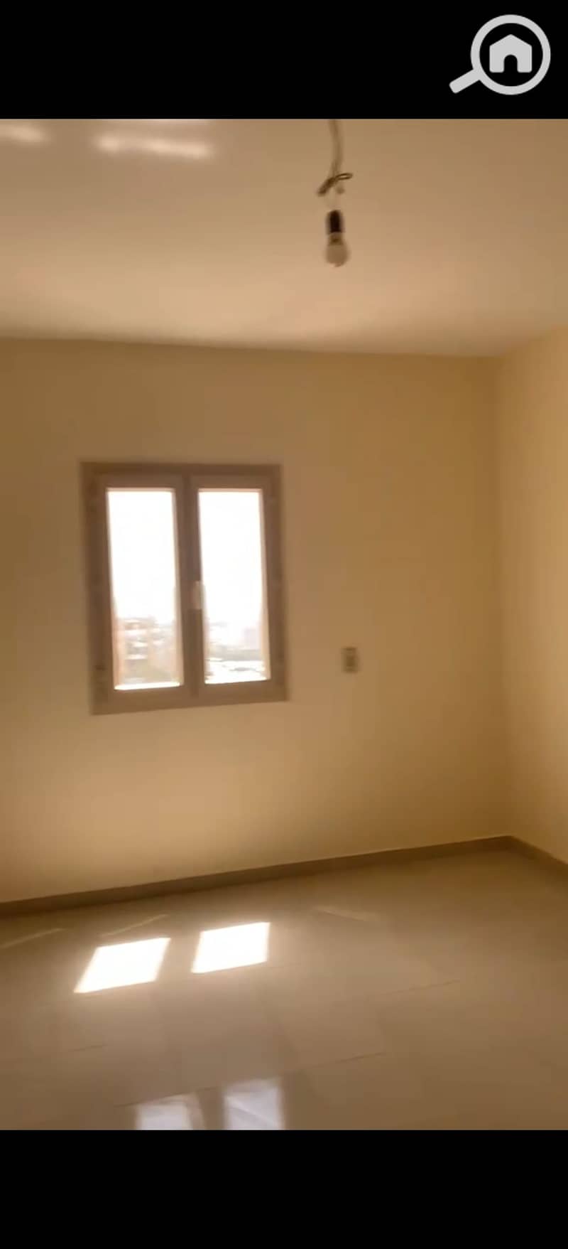 6 393440. jpg