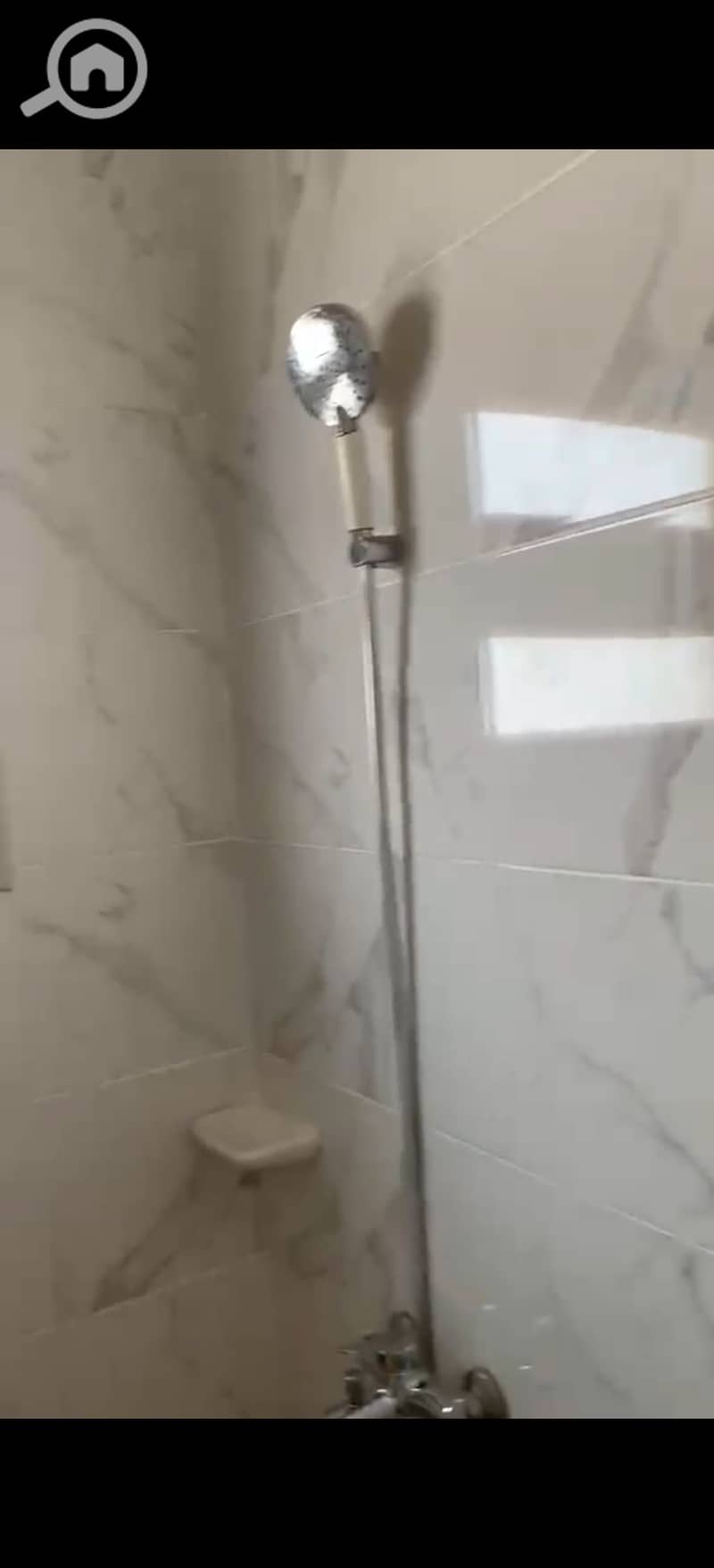 7 393438. jpg