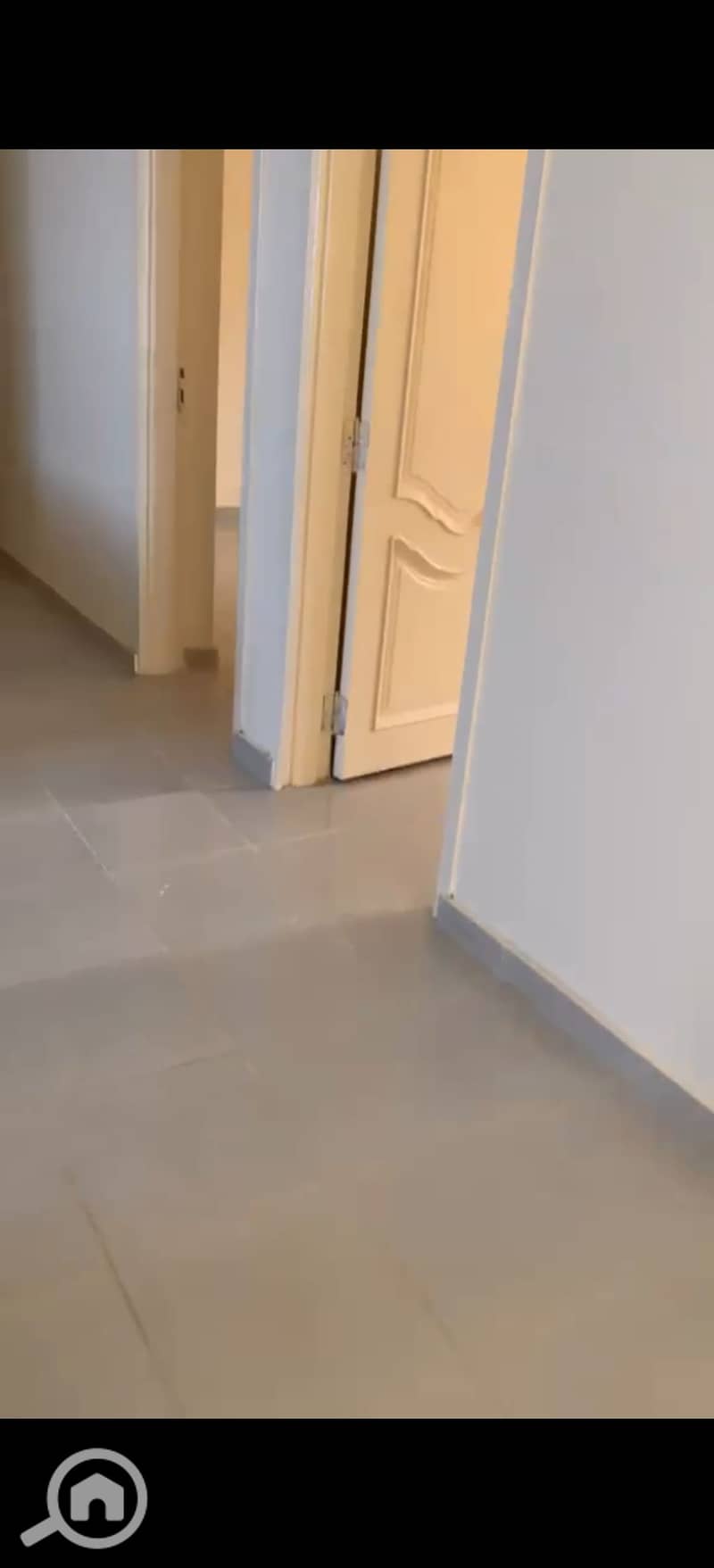 8 393441. jpg