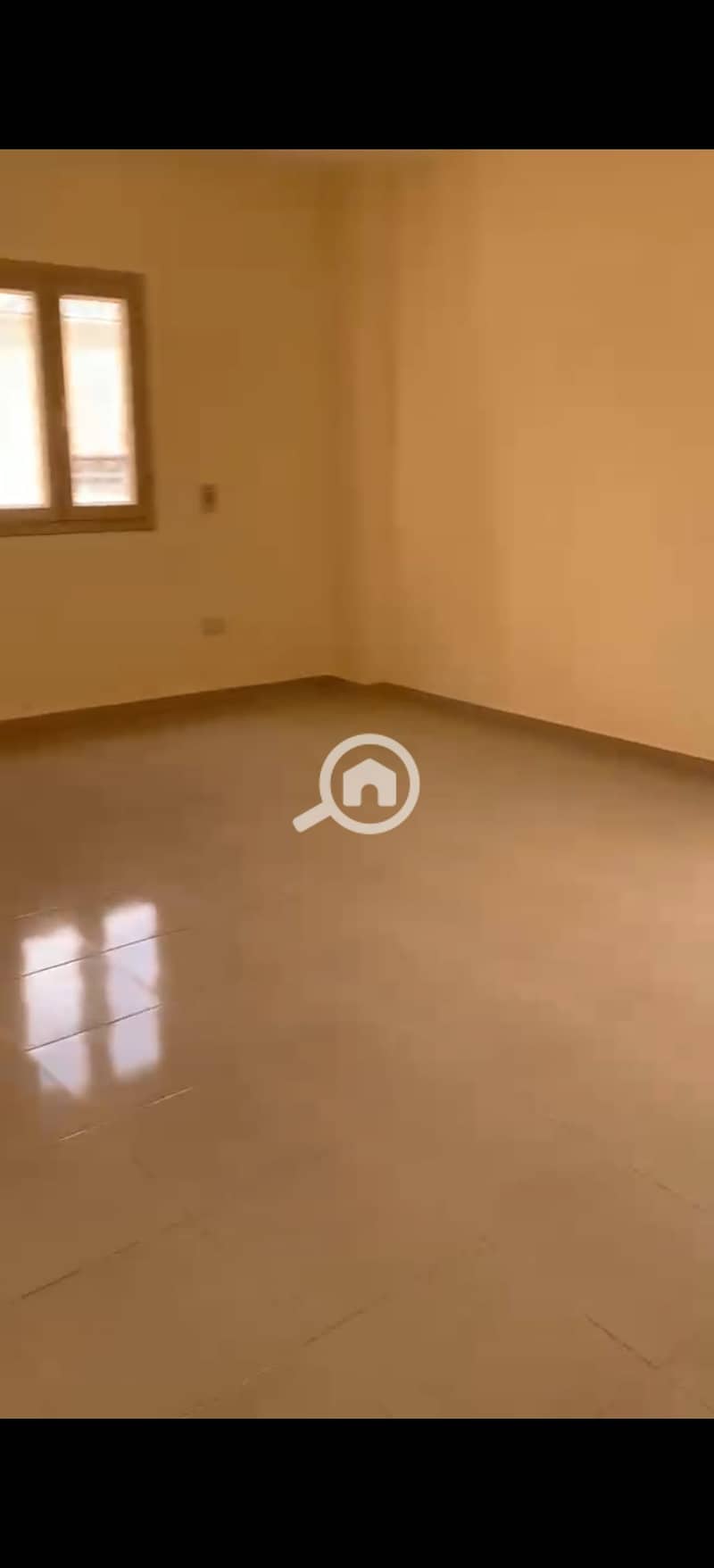 10 393443. jpg