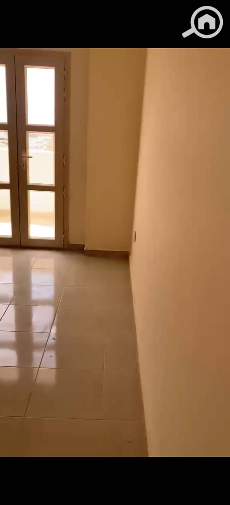11 393444. jpg