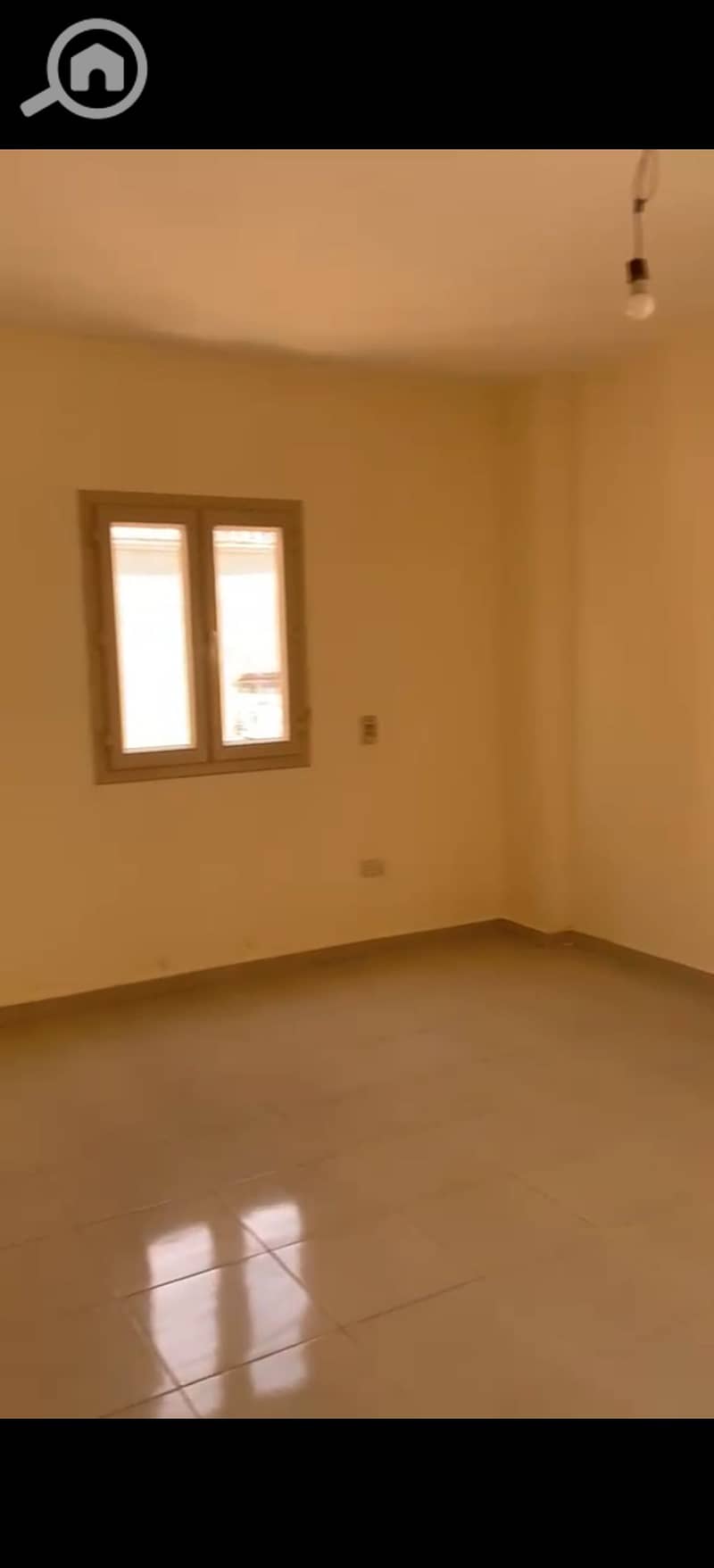 12 393445. jpg