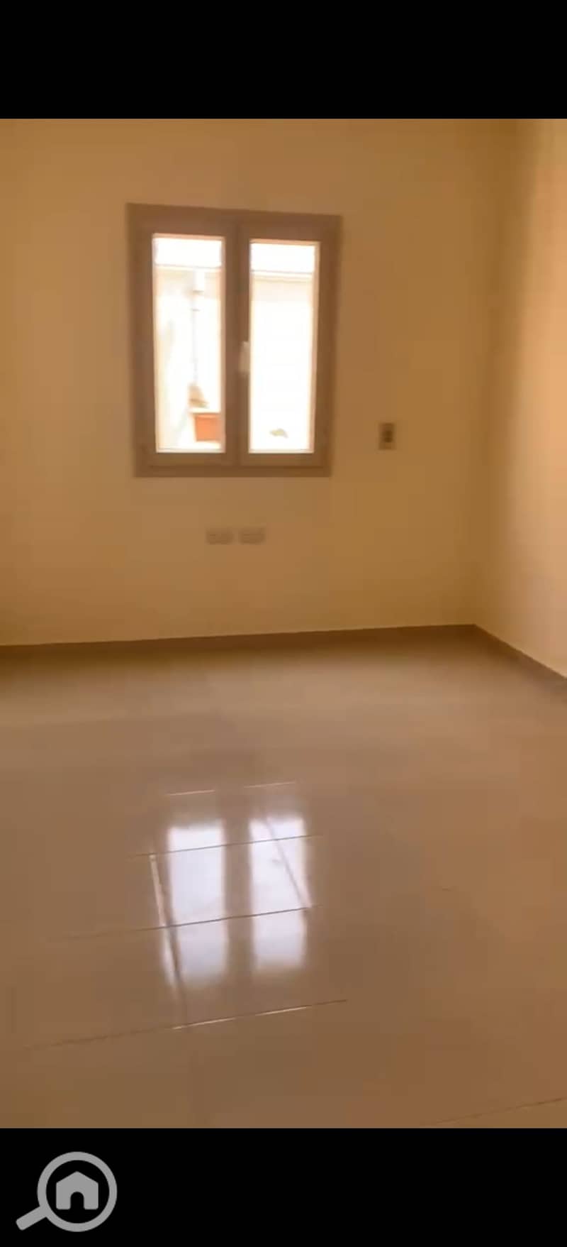 13 393446. jpg