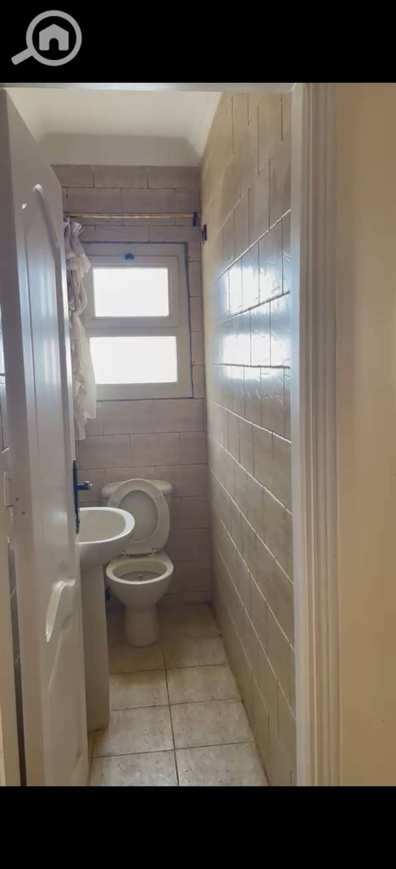 11 393499. jpg