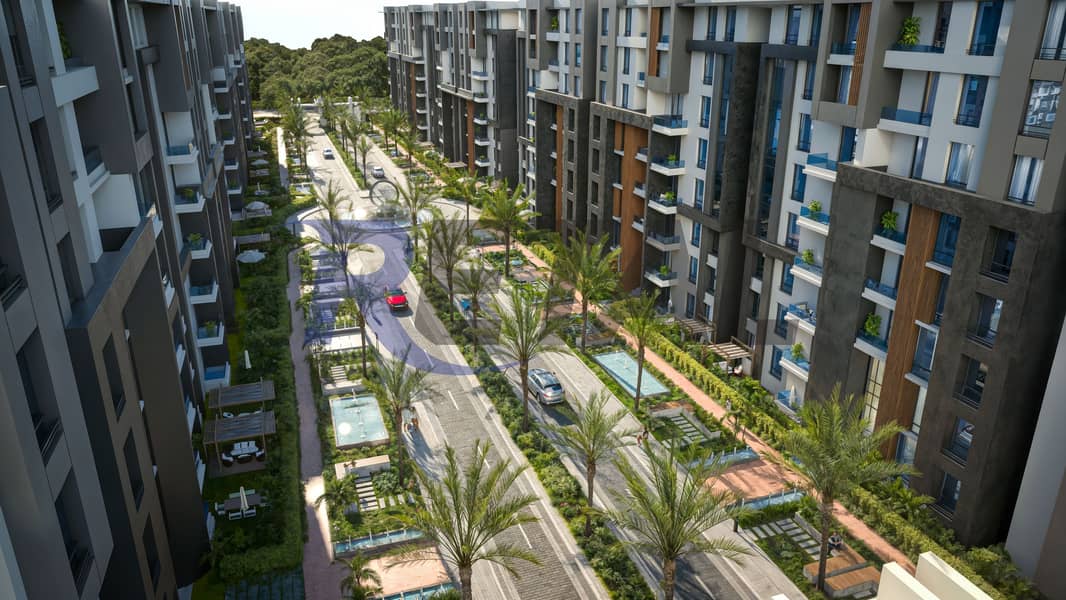 9 CAM08-DAY PALMS PP (1). jpg
