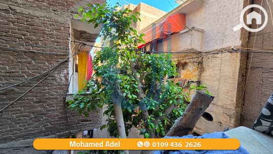 شقة 3 غرف نوم للبيع في فيكتوريا، الإسكندرية - 1. png