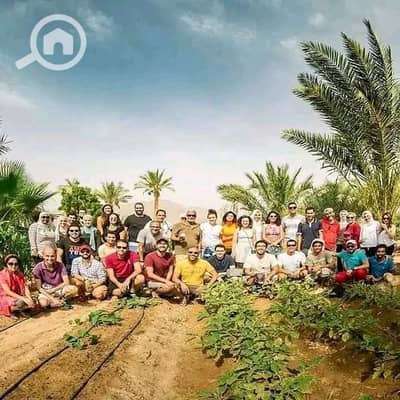 أرض زراعية للبيع في الفيوم الجديدة، الفيوم - 1000064635. jpg أرض زراعية للبيع في الفيوم الجديدة، الفيوم - 1000064635. jpg