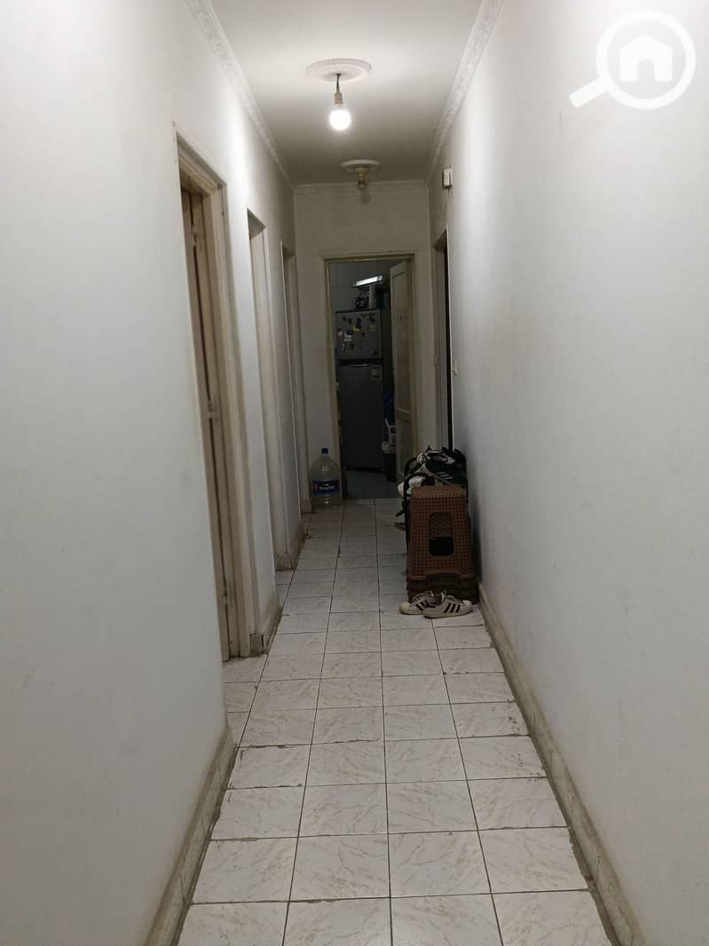 5 246044. jpg