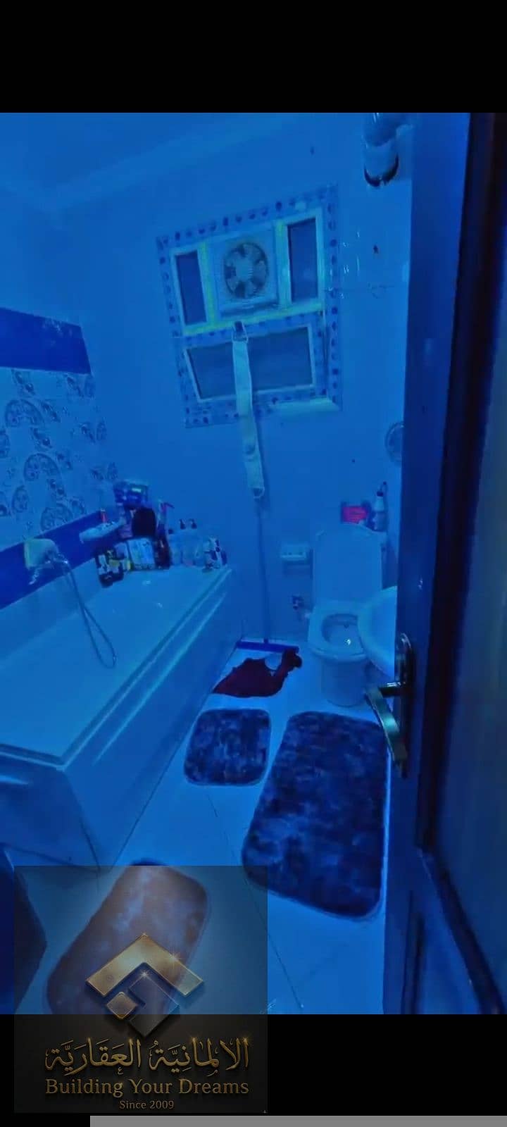 4 17803. jpg