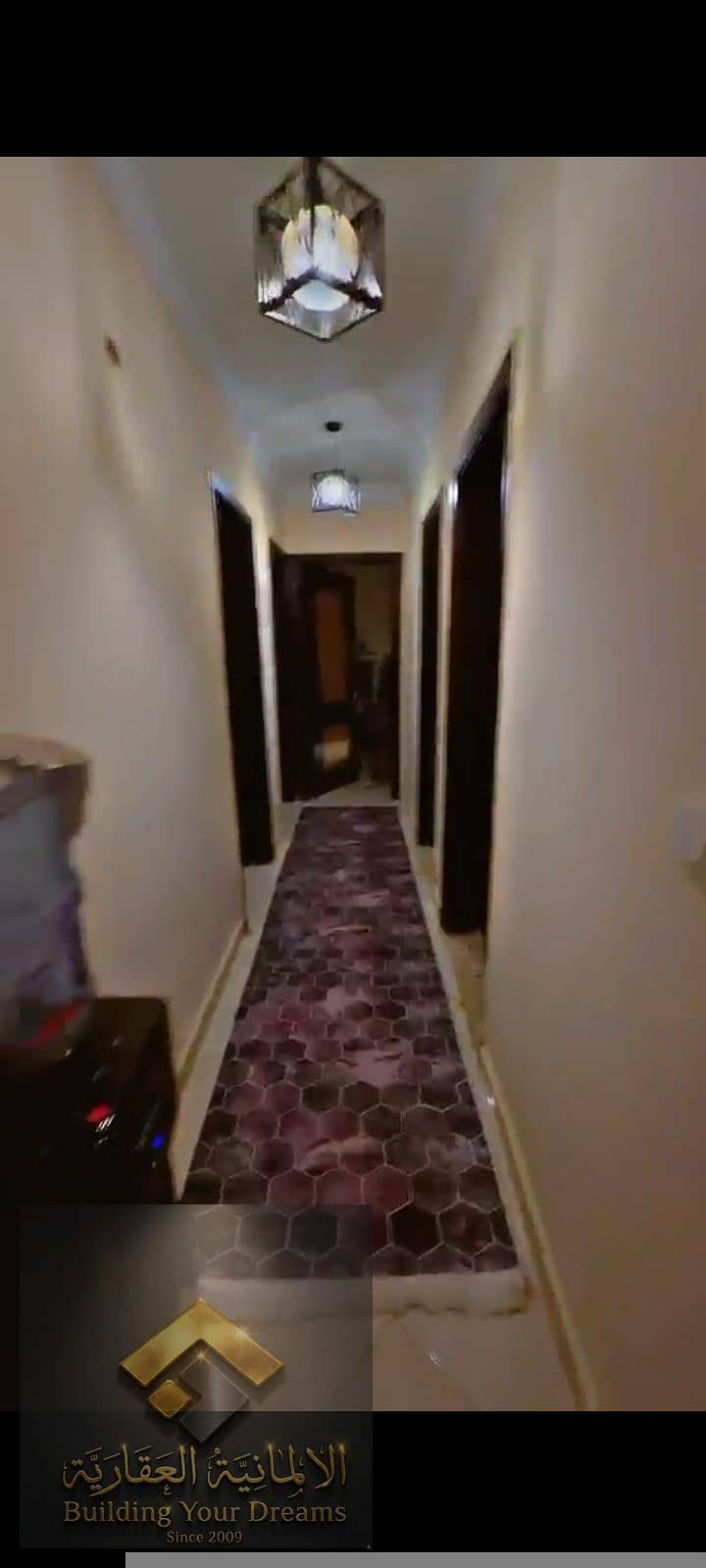 7 17807. jpg