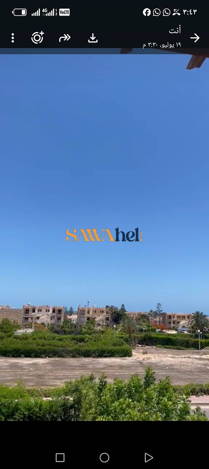 3 269071. jpg