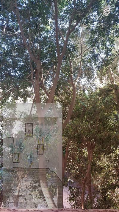 5 Bedroom Villa for Sale in Hadayek al-Ahram, Giza - 1001774092. jpg 5 Bedroom Villa for Sale in Hadayek al-Ahram, Giza - 1001774092. jpg