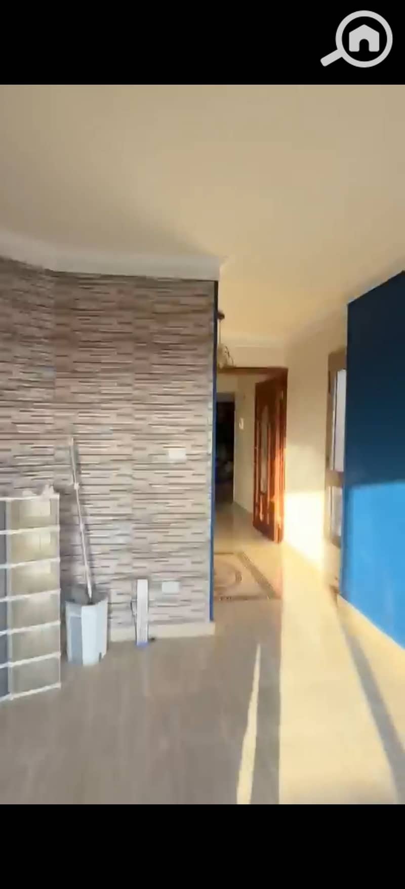 7 393706. jpg