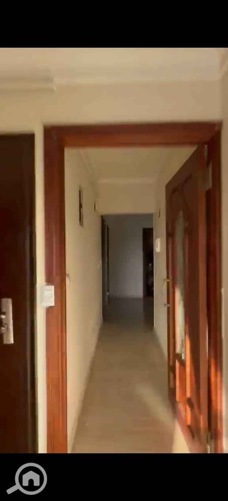 9 393708. jpg