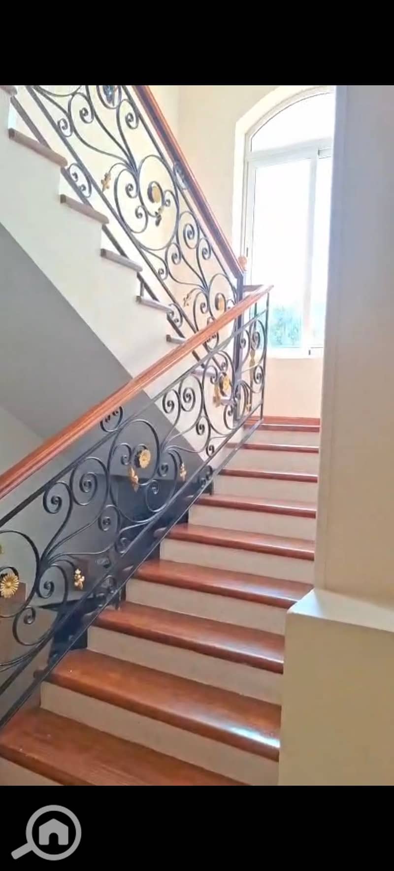 3 1000393516. jpg