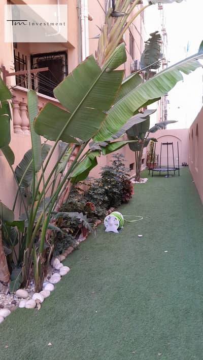 فلیٹ 3 غرف نوم للبيع في القاهرة الجديدة، القاهرة - WhatsApp Image 2026-07-13 at 7.24. 34 AM (2). jpeg