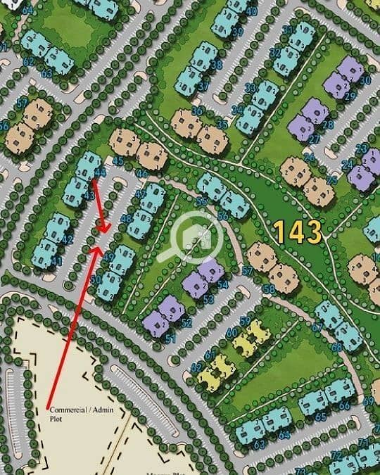 5 374676. jpg