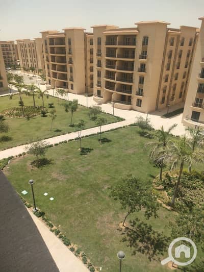 3 Bedroom Apartment for Sale in New Cairo, Cairo - 66e841632a33d_169193516164d8e1b920713. jpg 3 Bedroom Apartment for Sale in New Cairo, Cairo - 66e841632a33d_169193516164d8e1b920713. jpg