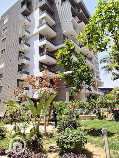 3 Bedroom Flat for Sale in New Capital City, Cairo - WhatsApp Image 2026-07-01 at 12.29. 54 PM (5). jpeg
