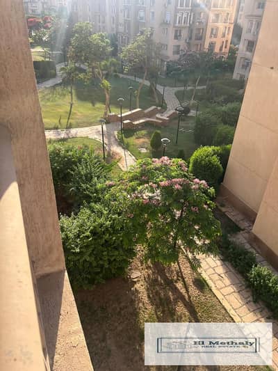 3 Bedroom Flat for Sale in Madinaty, Cairo - WhatsApp Image 2026-06-17 at 12.44. 42 PM (1). jpeg 3 Bedroom Flat for Sale in Madinaty, Cairo - WhatsApp Image 2026-06-17 at 12.44. 42 PM (1). jpeg