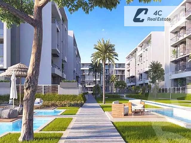 4 images (3). jpg