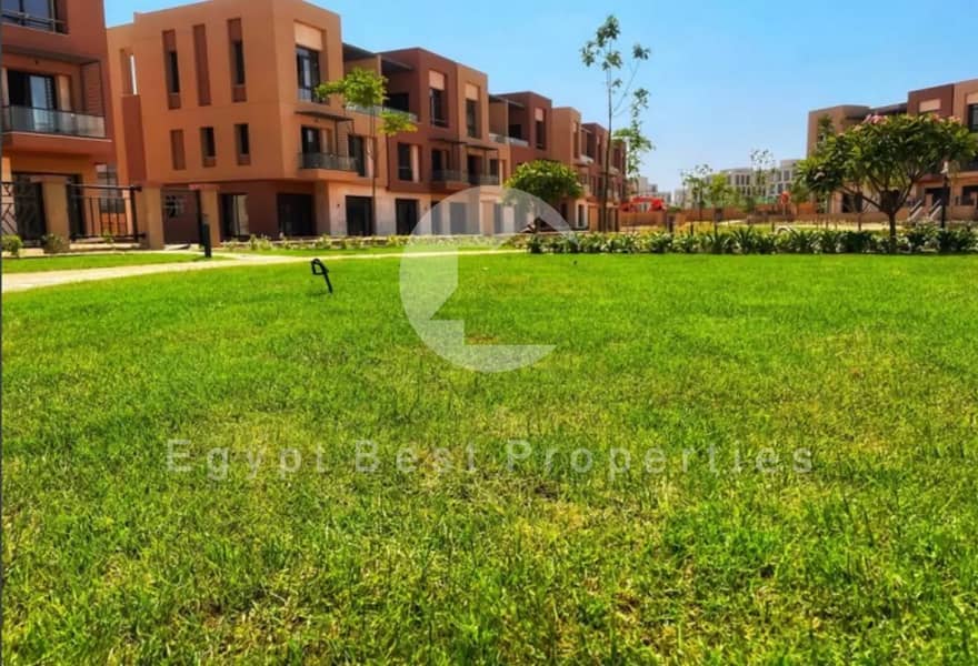 5 6. jpg