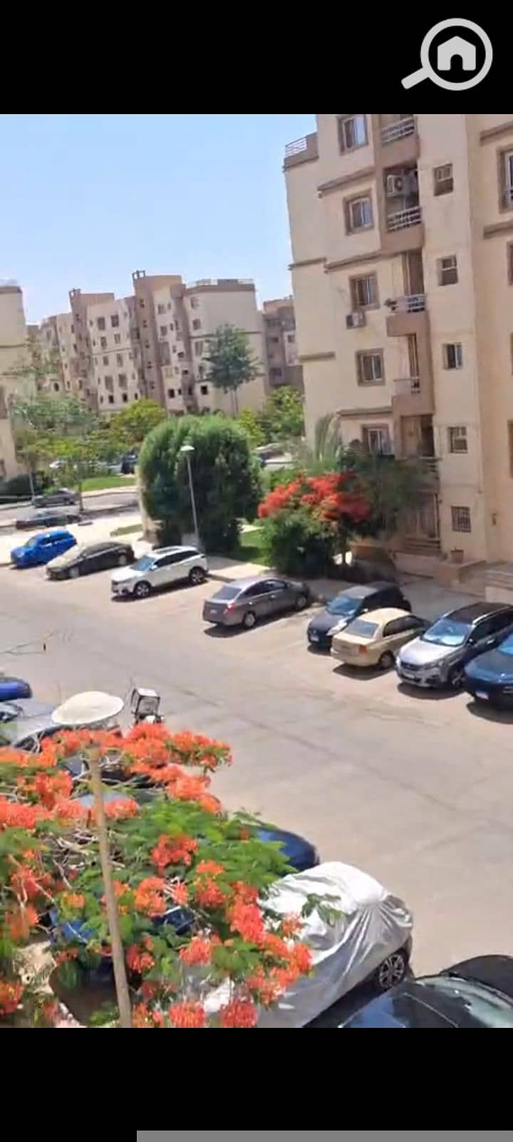 15420. jpg 15420. jpg