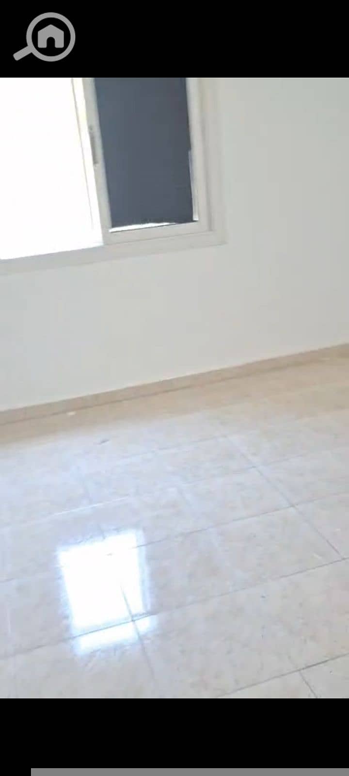 7 15411. jpg