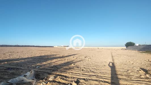 أرض تجارية للبيع في كينج مريوط، الإسكندرية - 67782. jpg أرض تجارية للبيع في كينج مريوط، الإسكندرية - 67782. jpg