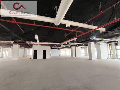 Office for Rent in New Cairo, Cairo - WhatsApp Image 2026-07-22 at 11.17. 24 PM. jpeg