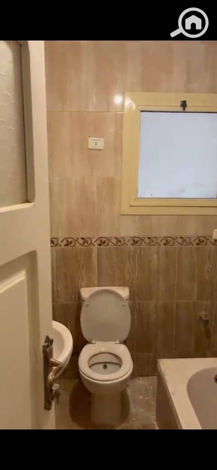 3 1000479147. jpg