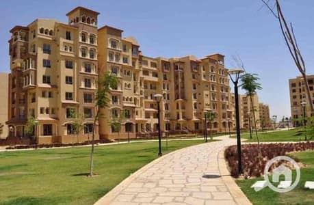 4 Bedroom Apartment for Sale in Madinaty, Cairo - 1780997573WhatsApp Image 2026-03-10 at 12.11. 00 PM. jpeg