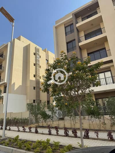 3 Bedroom Penthouse for Rent in New Cairo, Cairo - marassem (4). jpg 3 Bedroom Penthouse for Rent in New Cairo, Cairo - marassem (4). jpg