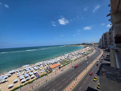 4 Bedroom Apartment for Sale in Mandara, Alexandria - WhatsApp Image 2026-07-08 at 6.31. 07 PM. jpeg