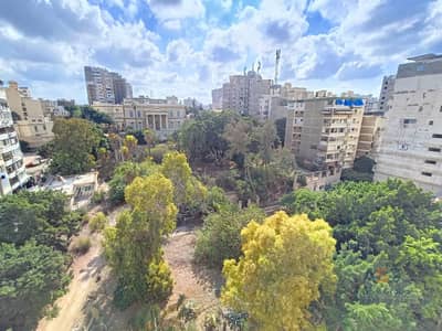 فلیٹ 3 غرف نوم للبيع في كفر عبدو، الإسكندرية - WhatsApp Image 2026-07-17 at 12.48. 34 PM (1). jpeg فلیٹ 3 غرف نوم للبيع في كفر عبدو، الإسكندرية - WhatsApp Image 2026-07-17 at 12.48. 34 PM (1). jpeg