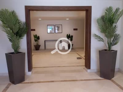 3 Bedroom Flat for Rent in New Cairo, Cairo - 30f1f24a-8925-439f-b4c8-ef14c9a906fd. jpg