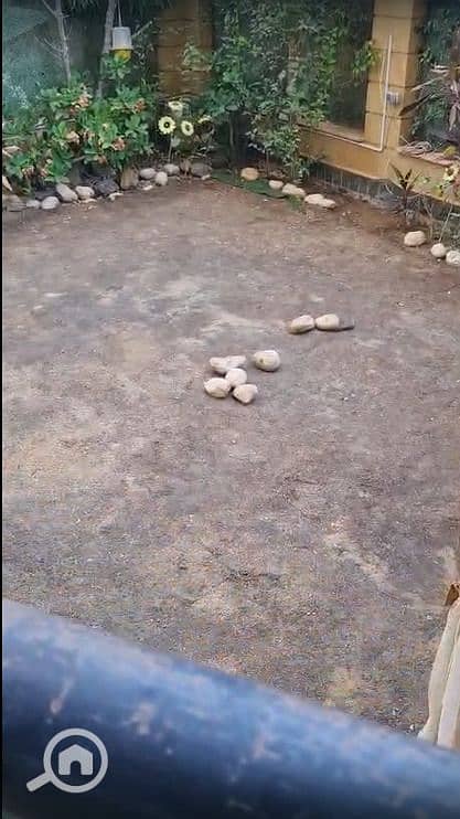 6 WhatsApp Image 2026-07-23 at 4.31. 32 PM (4). jpeg