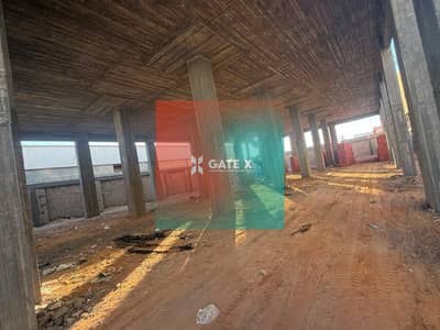 Factory for Sale in 10th of Ramadan, Sharqia - WhatsApp Image 2026-07-23 at 8.42. 56 AM. jpeg
