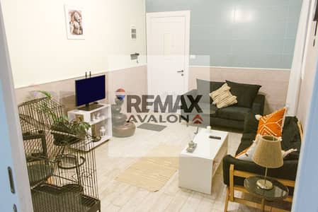 2 Bedroom Apartment for Rent in Sporting, Alexandria - 1. jpg