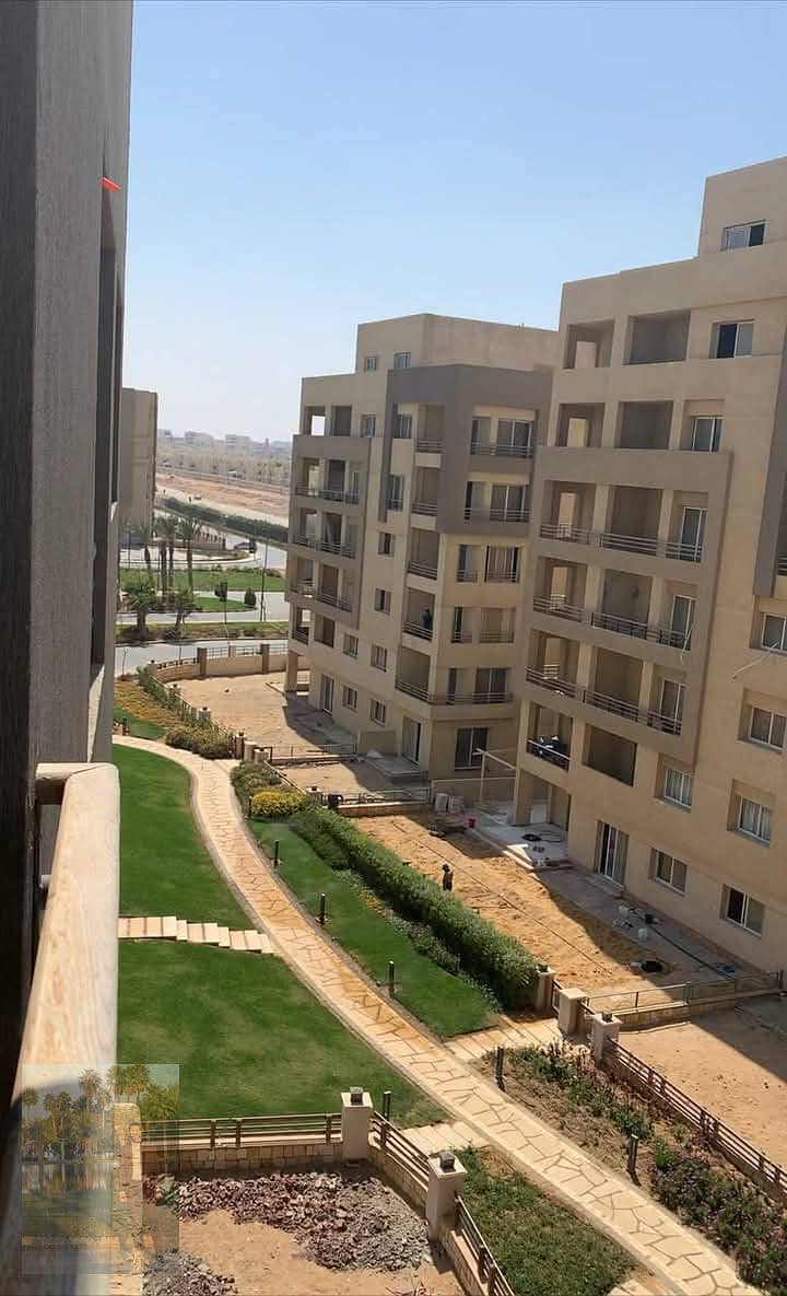 8 1000856231. jpg