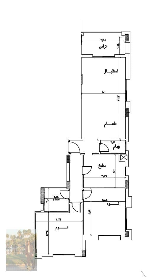 10 1000856247. jpg